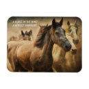 Search for equine magnets Wild horses