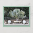 Search for balboa park Flora