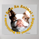 Search for save animals posters Dog