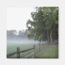 Search for morning mist Field