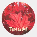 Search for red leaf stickers Autumn