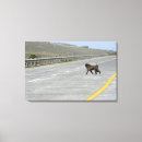 Search for baboon canvas prints Horizontal