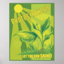 Search for photosynthesis posters Science