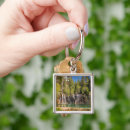 Search for colorado spring key rings Landscape