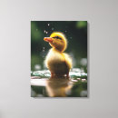 Search for ducklings canvas prints Wildlife