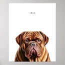 Search for mastiffs art Dogue de bordeaux
