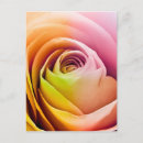 Search for closeness cards Affection