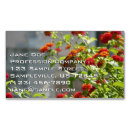 Search for monarch butterfly business cards Orange