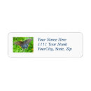 Search for tiger swallowtail return address labels Insect