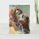Search for safari christmas cards Animals