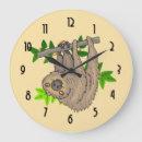 Search for sloth clocks Wild