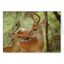Search for whitetail deer postcards Baby