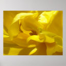 Search for peep posters Yellow