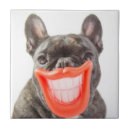 Search for frenchies photography Cute