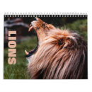 Search for lion calendars Wildlife