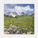 Search for heaven magnets Scenic