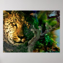 Search for intensity posters Colourful