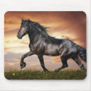 Search for black horses electronics Wild horse