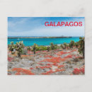 Search for galapagos postcards Travel