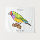 Search for finches posters Australia
