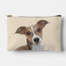 Search for greyhounds accessories Italian greyhound