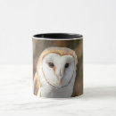 Search for barn owls mugs Raptor