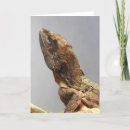 Search for lizard cards Australia