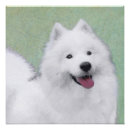 Search for samoyed art Dog