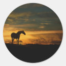 Search for pasture stickers Equine