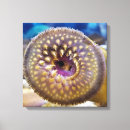 Search for aquarium canvas prints Aquatic