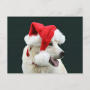 Search for yellow labrador retriever christmas cards Xmas