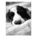 Search for man best friend posters Black and white