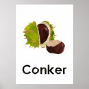Search for conker Fall