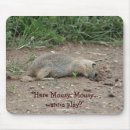 Search for prairie mousepads Wildlife