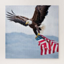 Search for american bald eagle puzzles Flag