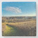 Search for path coasters Fall