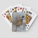 Search for pheasant photography Pheasants