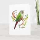 Search for conure cards Parrot