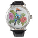 Search for hummingbird watches Beautiful