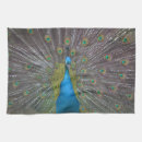 Search for peacock tea towels Colourful