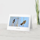 Search for native photography Birds