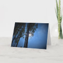 Search for sunlight cards Photography