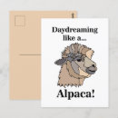 Search for alpaca postcards Modern