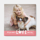 Search for paw magnets Pet