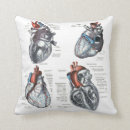 Search for artery Cardiology