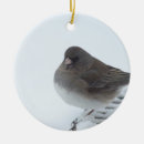 Search for birds christmas tree decorations Bird watcher