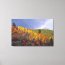 Search for pass canvas prints Red
