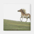 Search for vitale magnets Outdoors