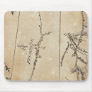 Search for princeton mousepads Map