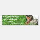 Search for fawn bumper stickers Wildlife